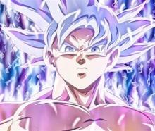 Profile picture for user salahelbasraouithailil