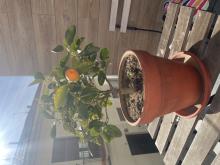 Profile picture for user Wilduke