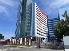 Profile picture for user mduynhunh