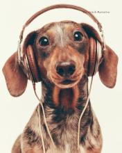 Profile picture for user 9703