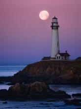 Profile picture for user zielonewzgorze