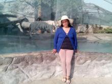 Profile picture for user elenatorreshuamani