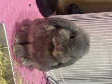 Profile picture for user titapasridusadee