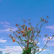 Profile picture for user linhthithngc