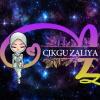 Profile picture for user CikguZaliya