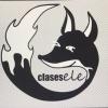 Profile picture for user clasesele