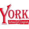 Profile picture for user YorkSchool