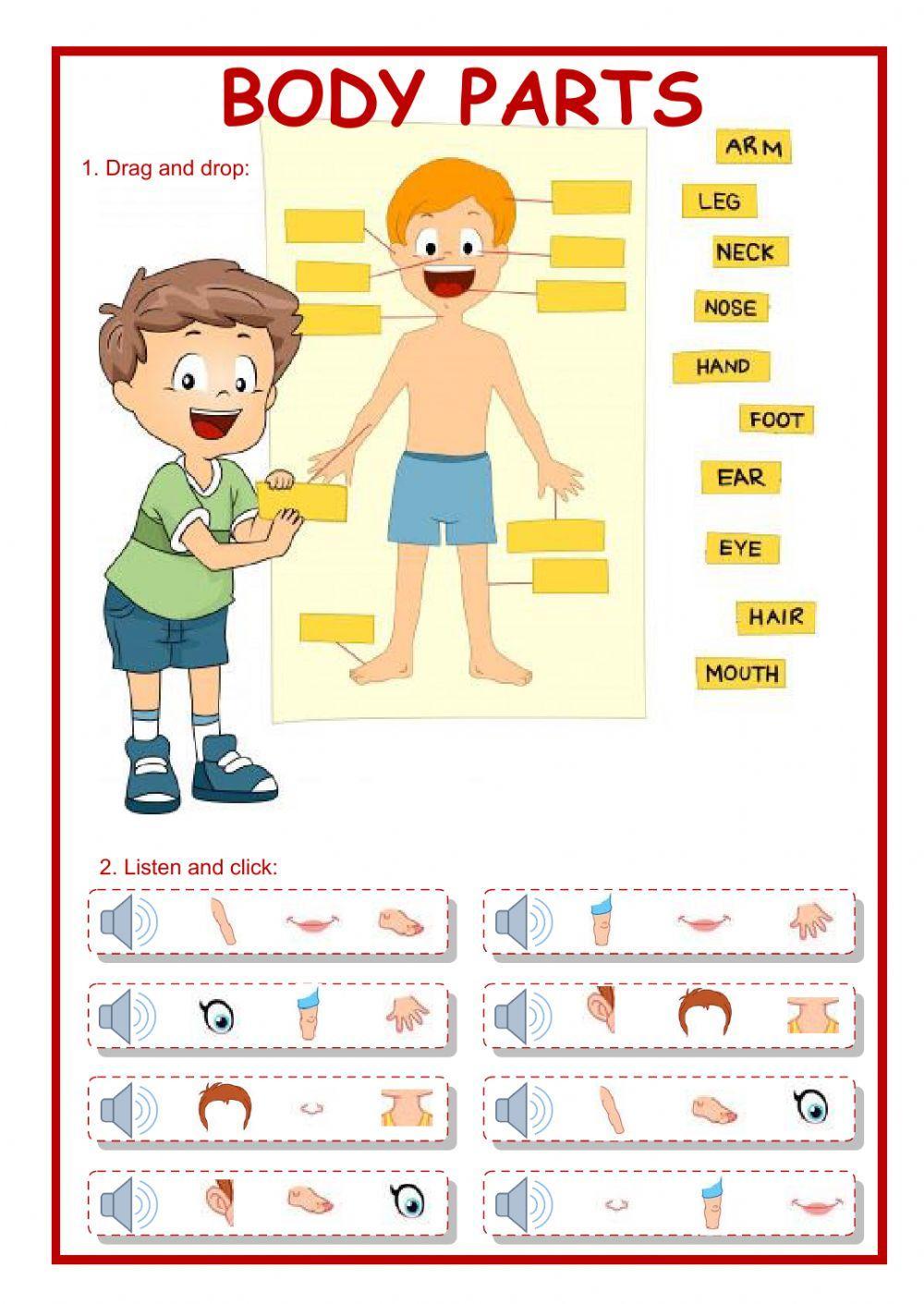 Body parts Body parts