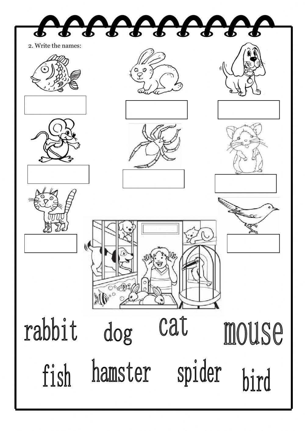 Have you got a pet? Have you got a pet?