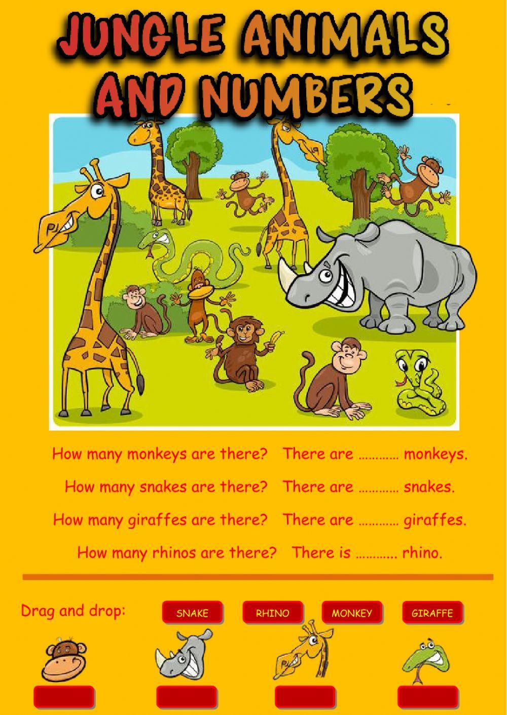 Jungle animals and numbers