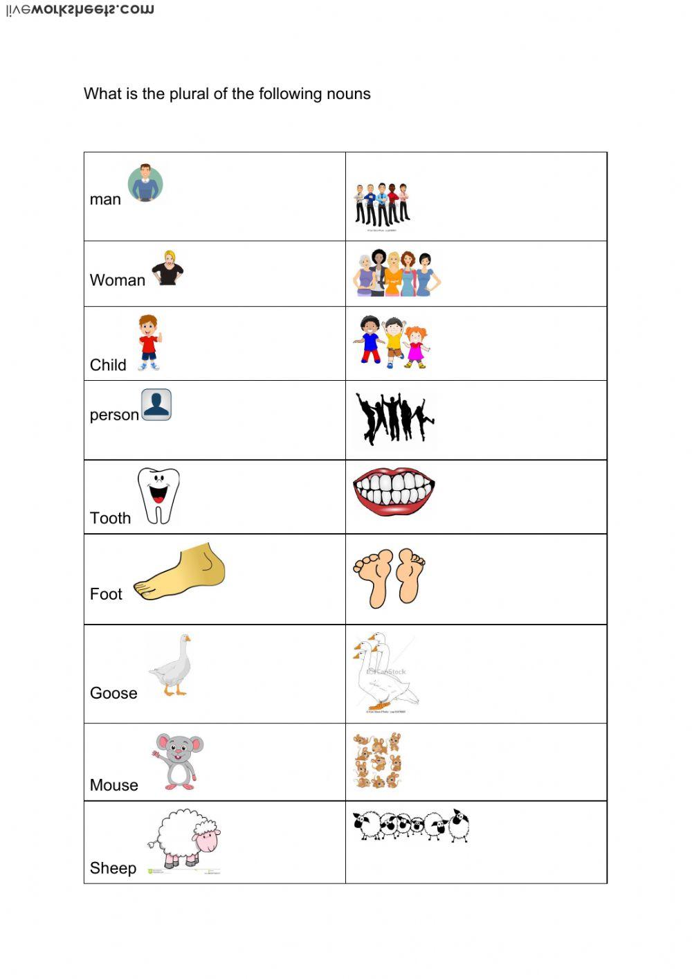 irregular plural nouns