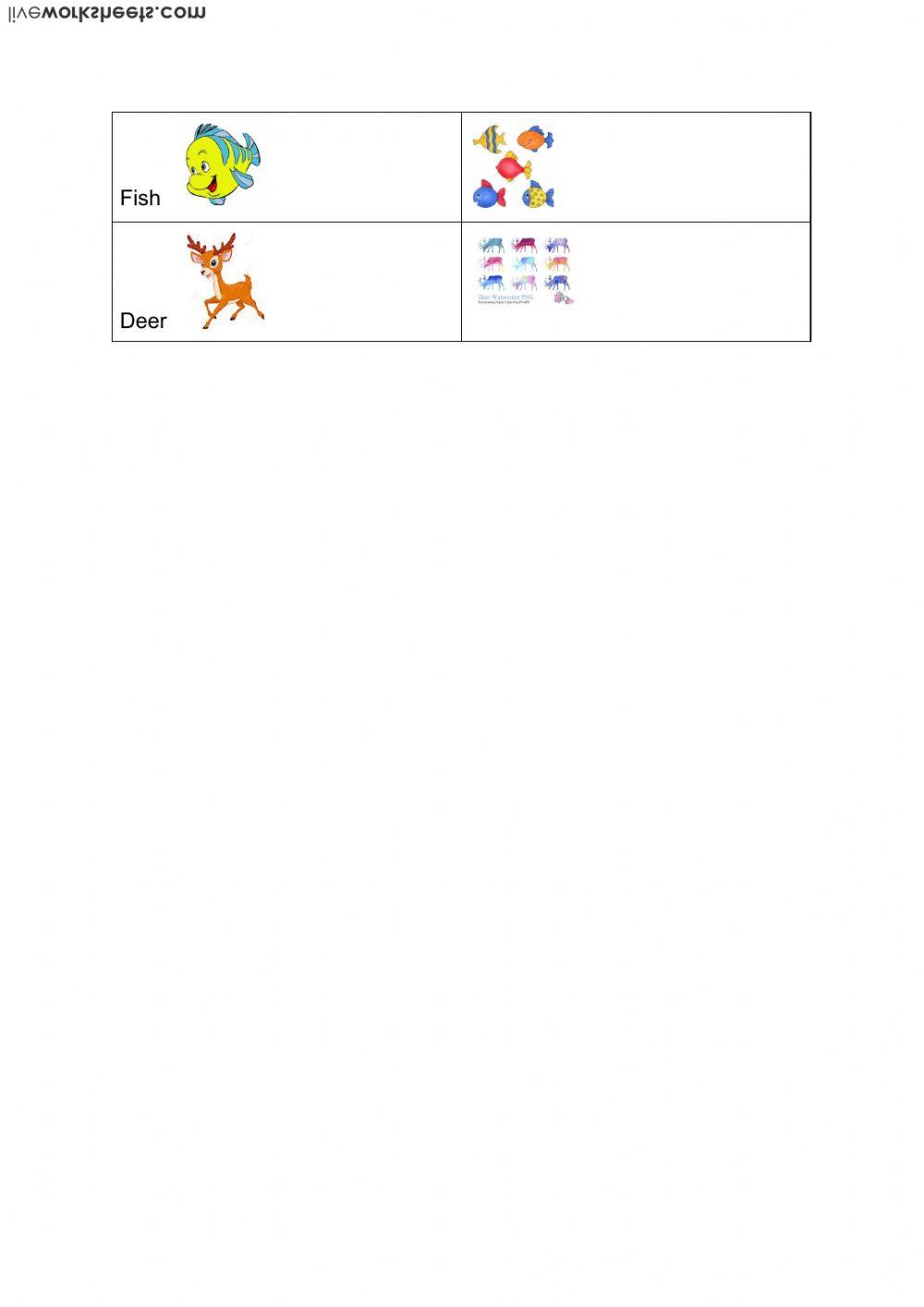 irregular plural nouns