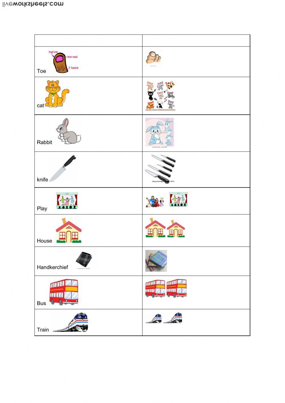 plurals with s, es, ies, ves