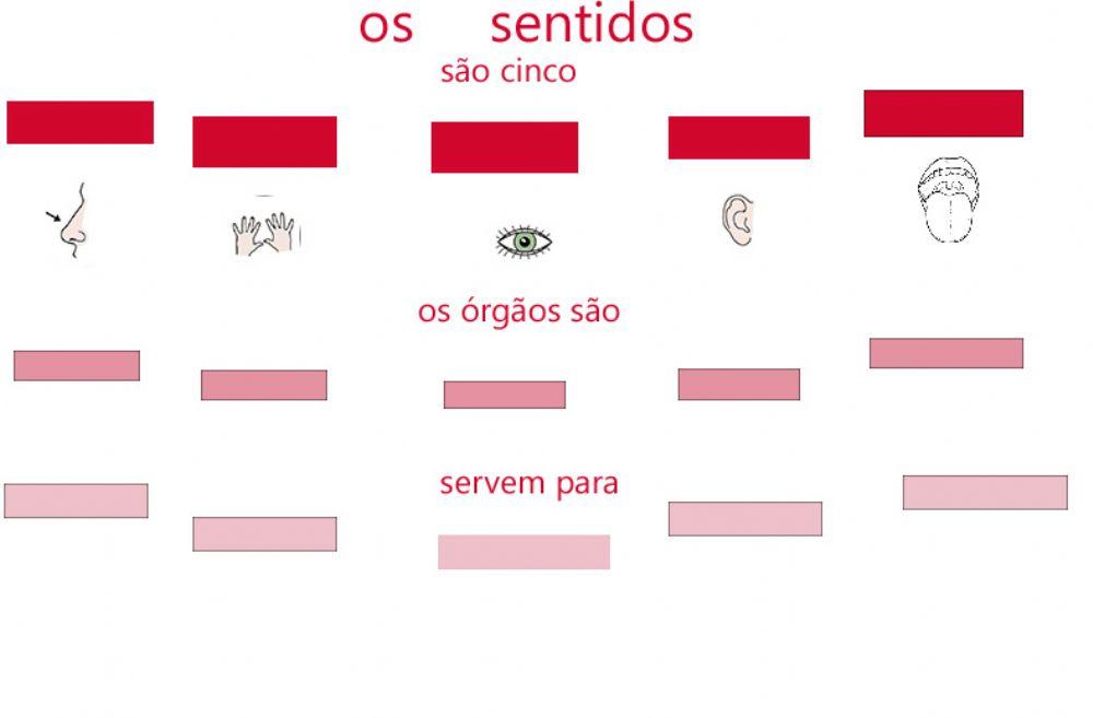 Vocabulário 07 Os sentidos