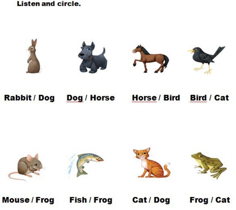 Animals. Listen and circle.