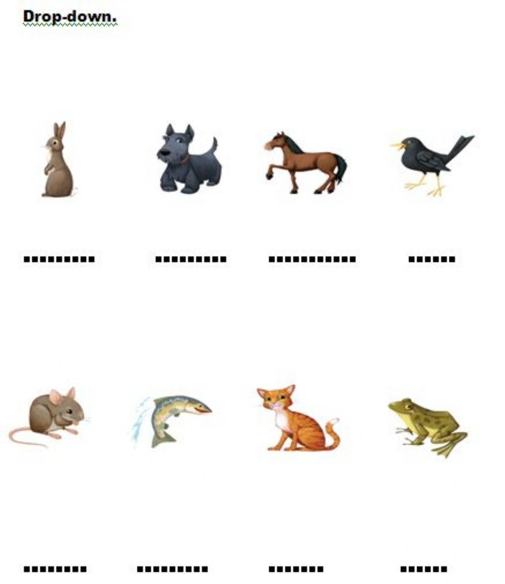 Animals. Choose the correct word.