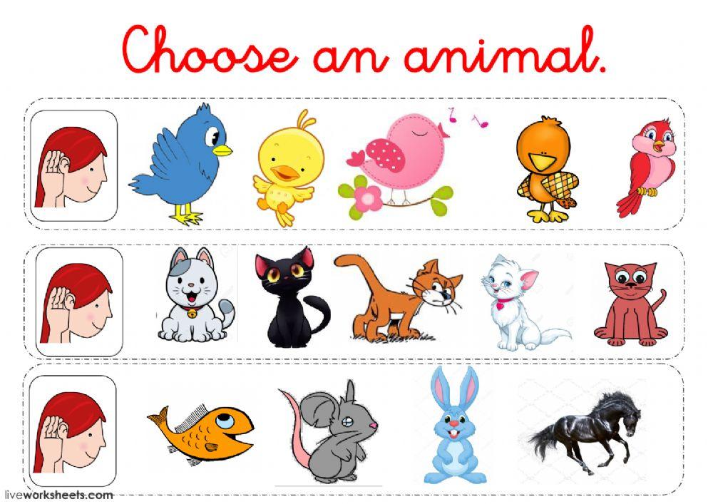 Choose an animal