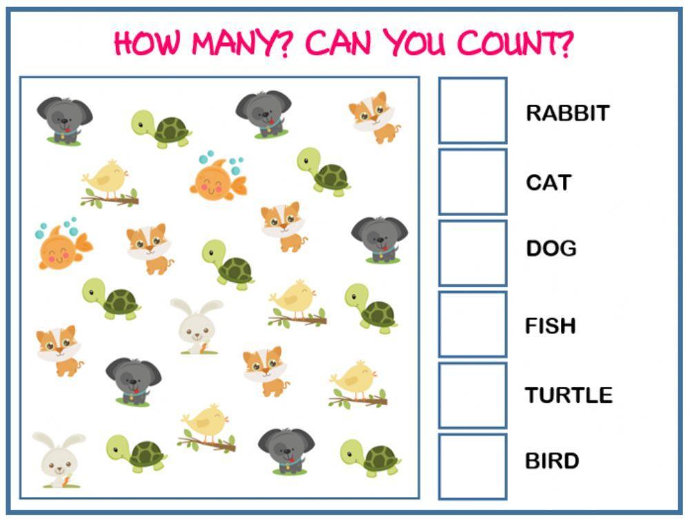 animals animals