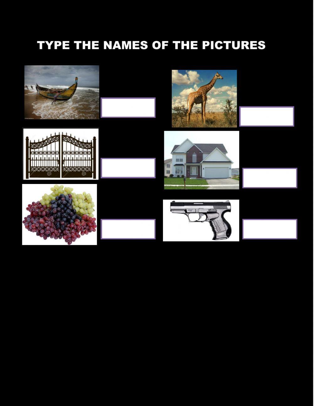 type the names of the picture