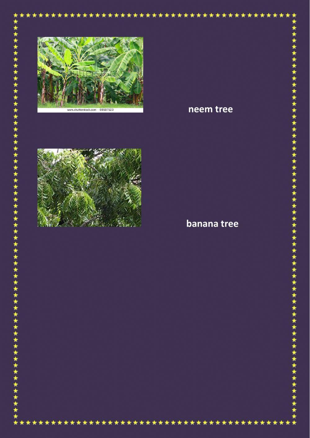 match the names of the trees