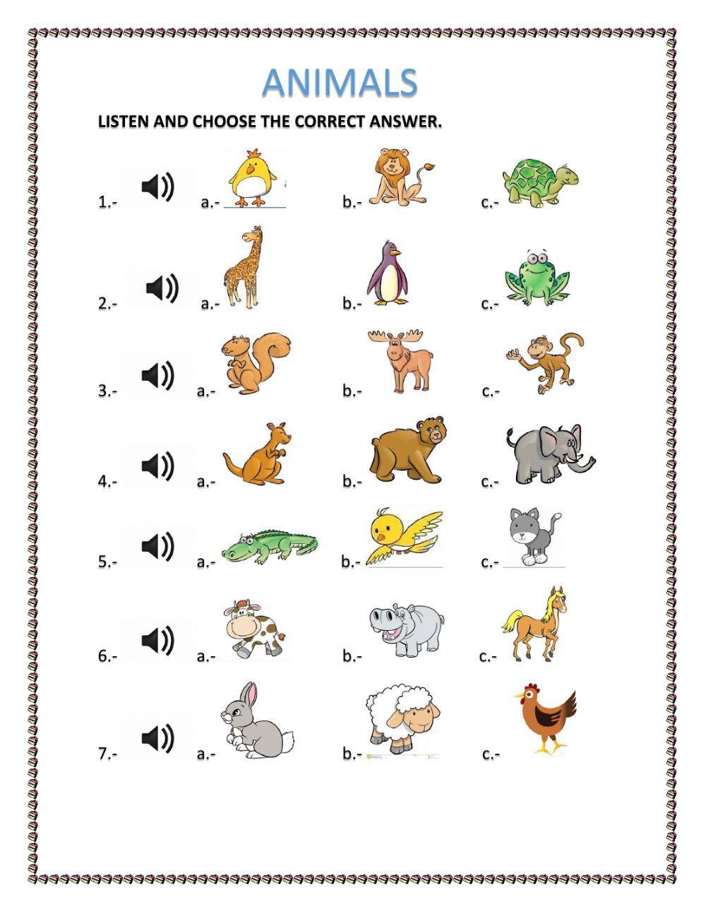 ANIMALS ANIMALS