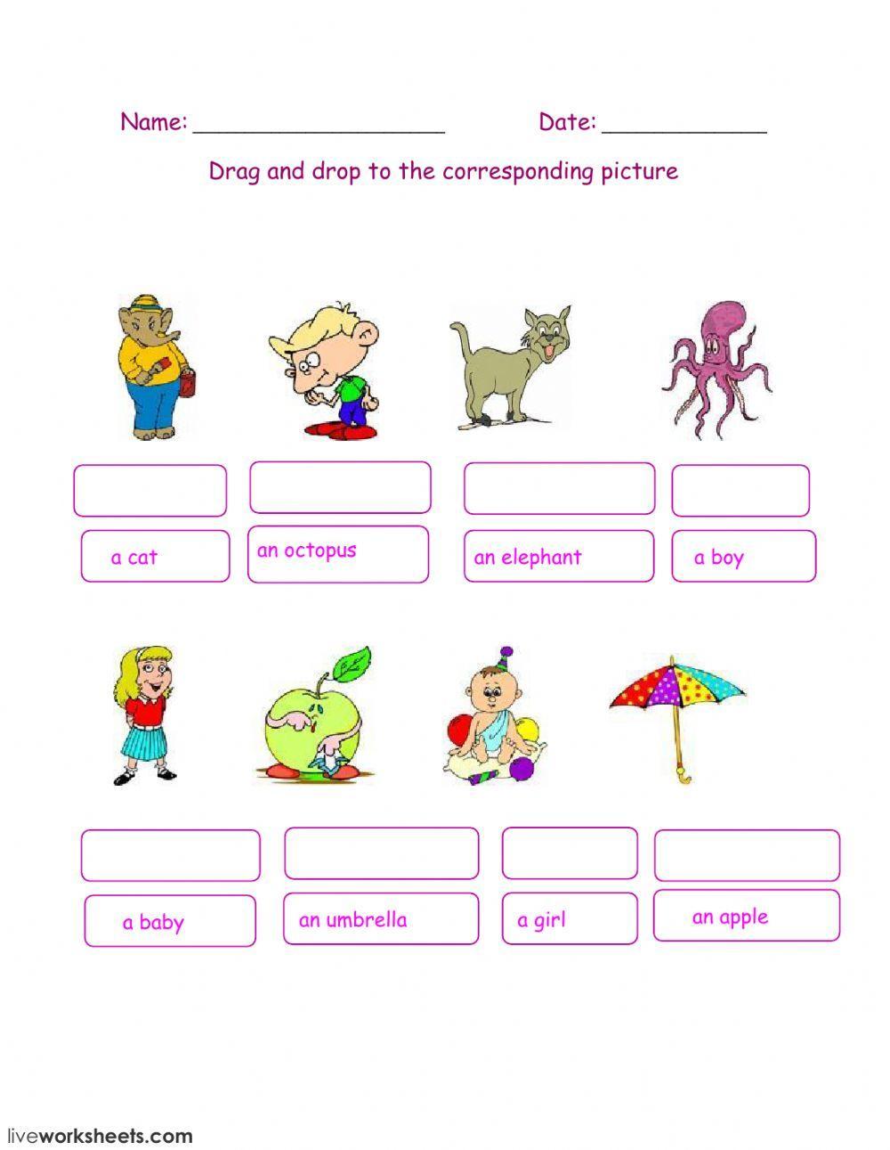 Indefinite Article-10