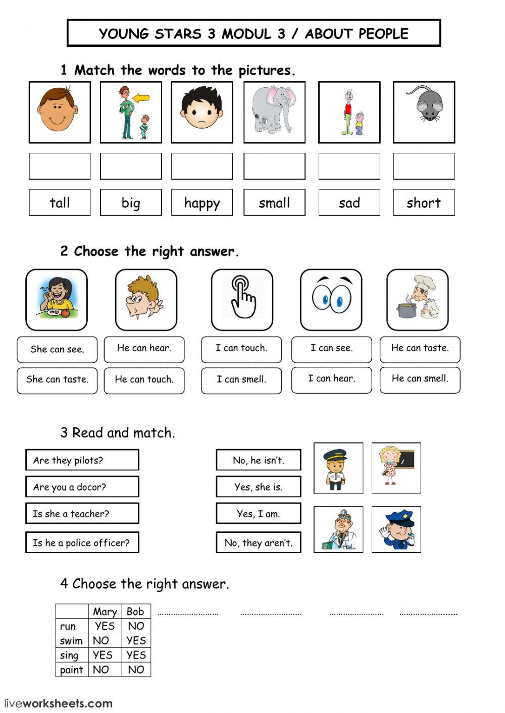 About People - Young Stars 3 - Module 3