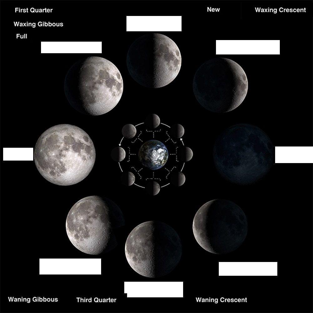 phases of moon