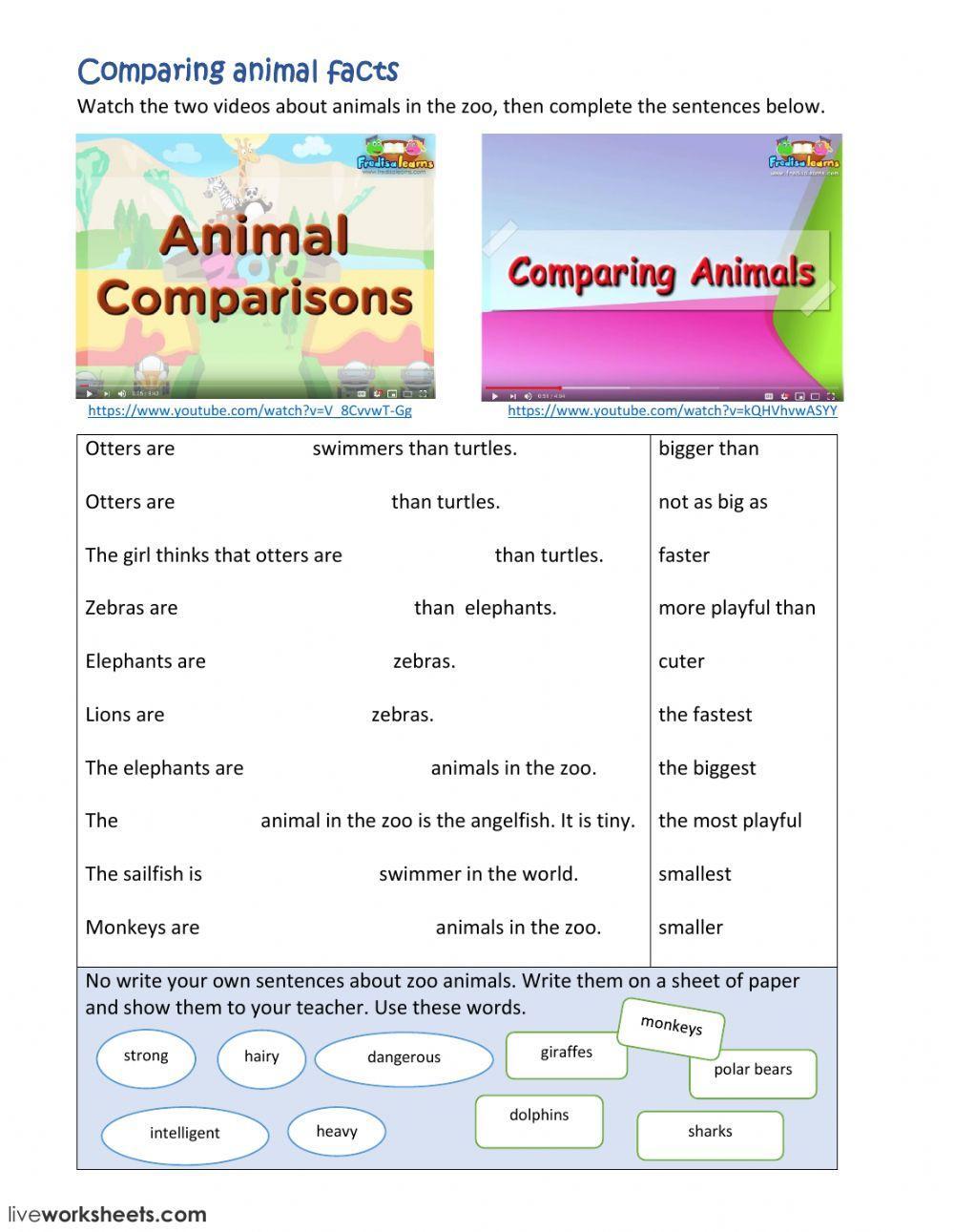 Animal comparisons