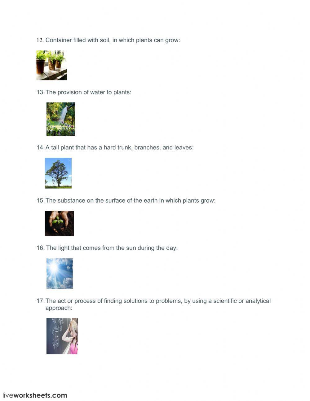 Scientific method or scientific skills