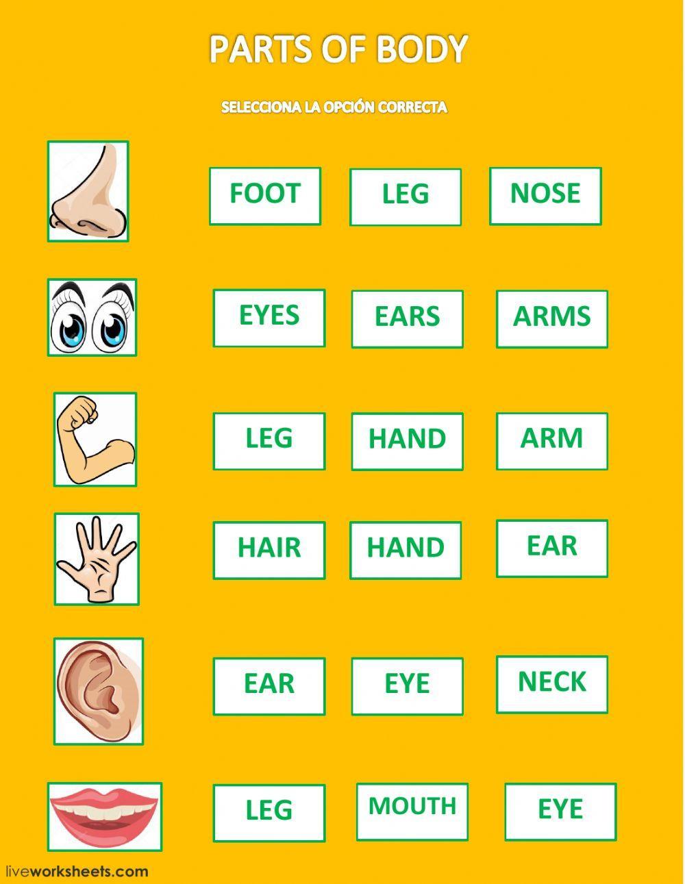 Parts of body