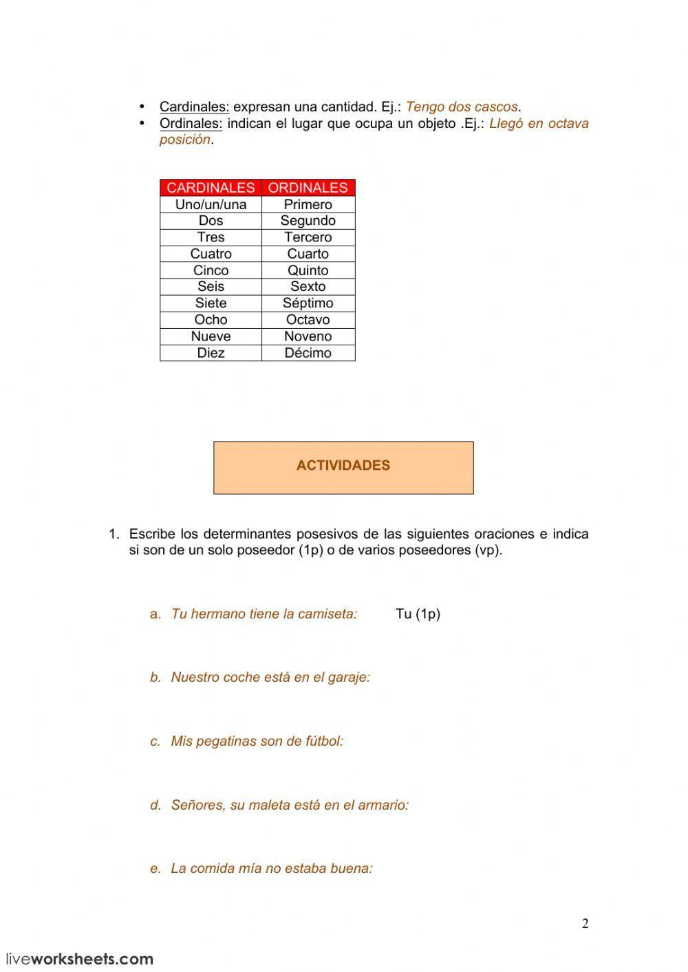 Posesivos y numerales