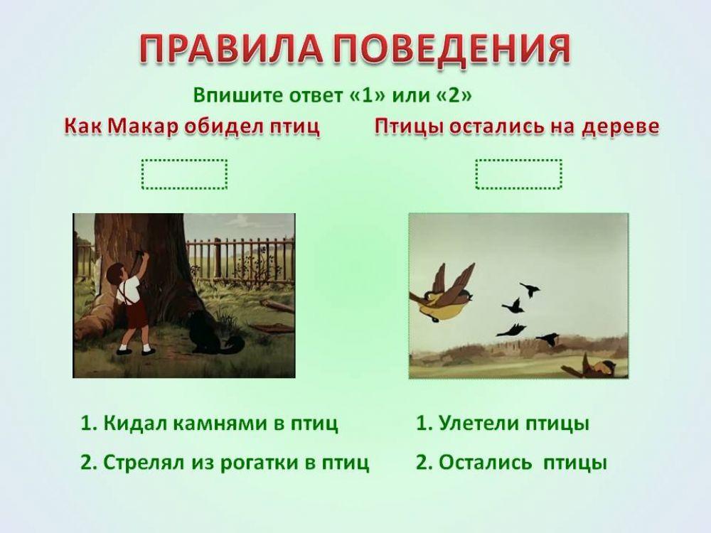 ЭКОЛОГИЧЕСКИЕ ИГРЫ 49192 | Беденко Алия Бариевна | Live