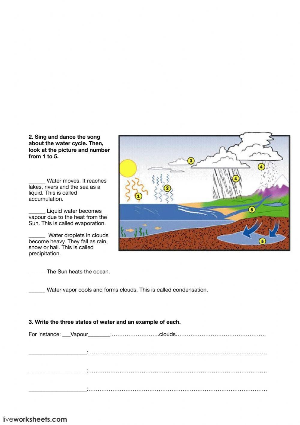Water cycle and states of water