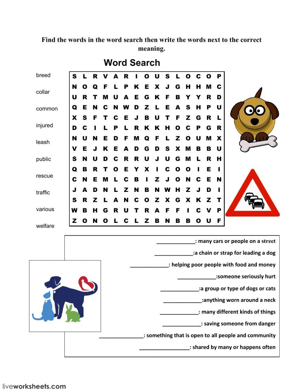 Ready for Action - Animals