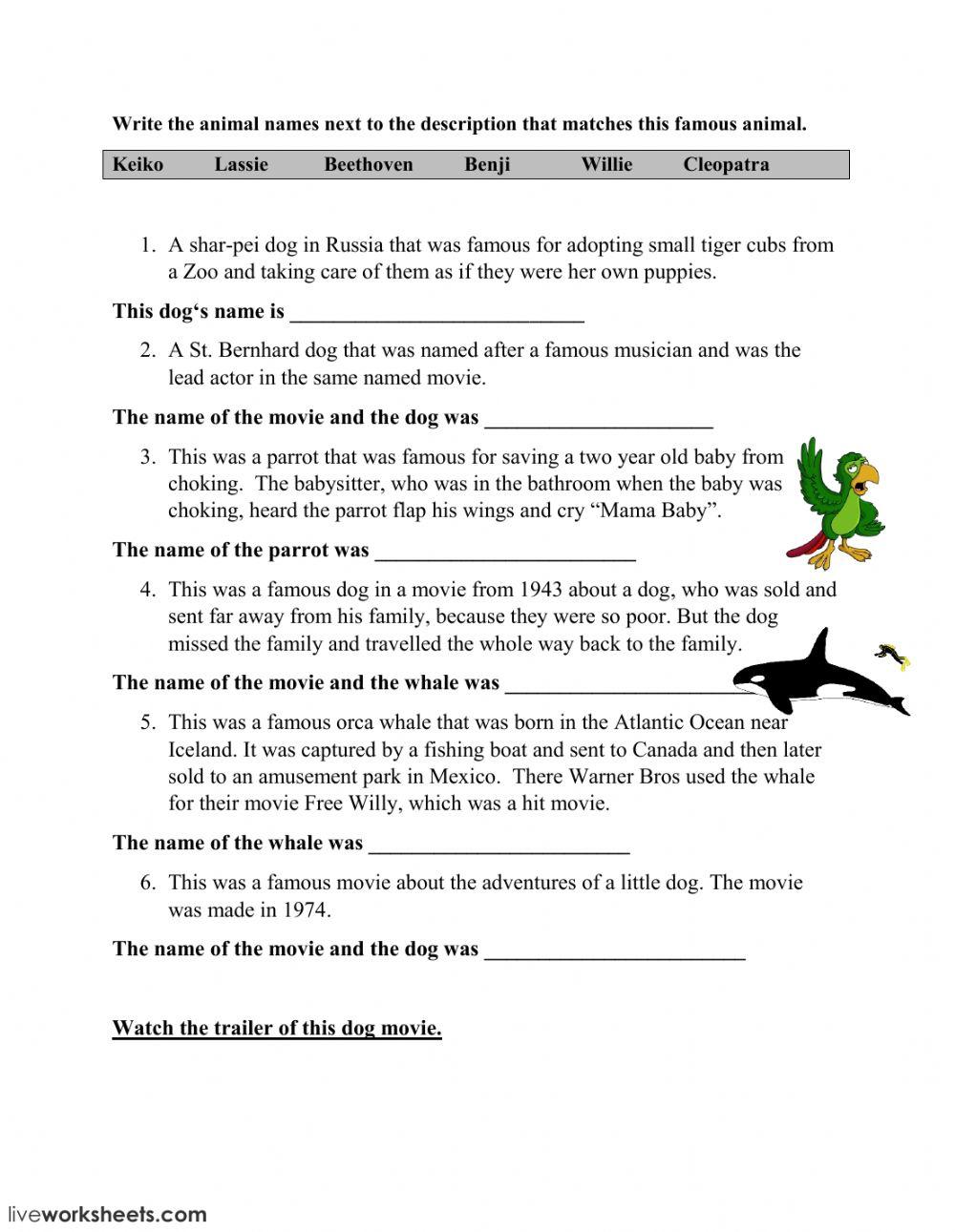 Ready for Action Animals worksheet Live Worksheets