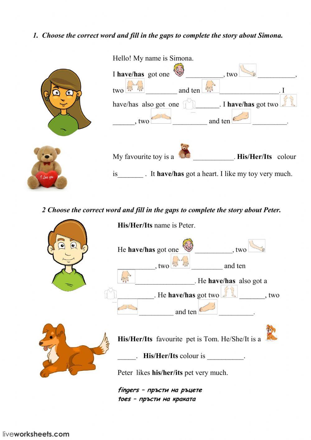 Describing people, toys and pets Describing people, toys and pets