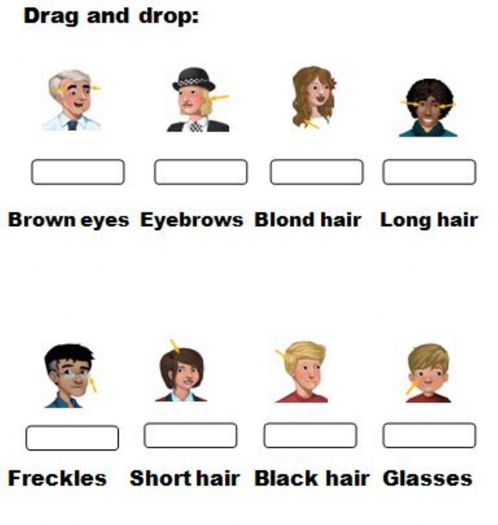 Drag and drop. Appearance