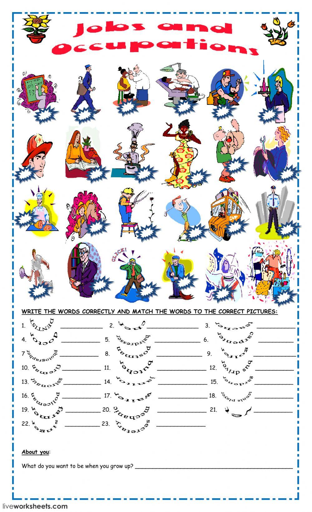 Jobs and occupations