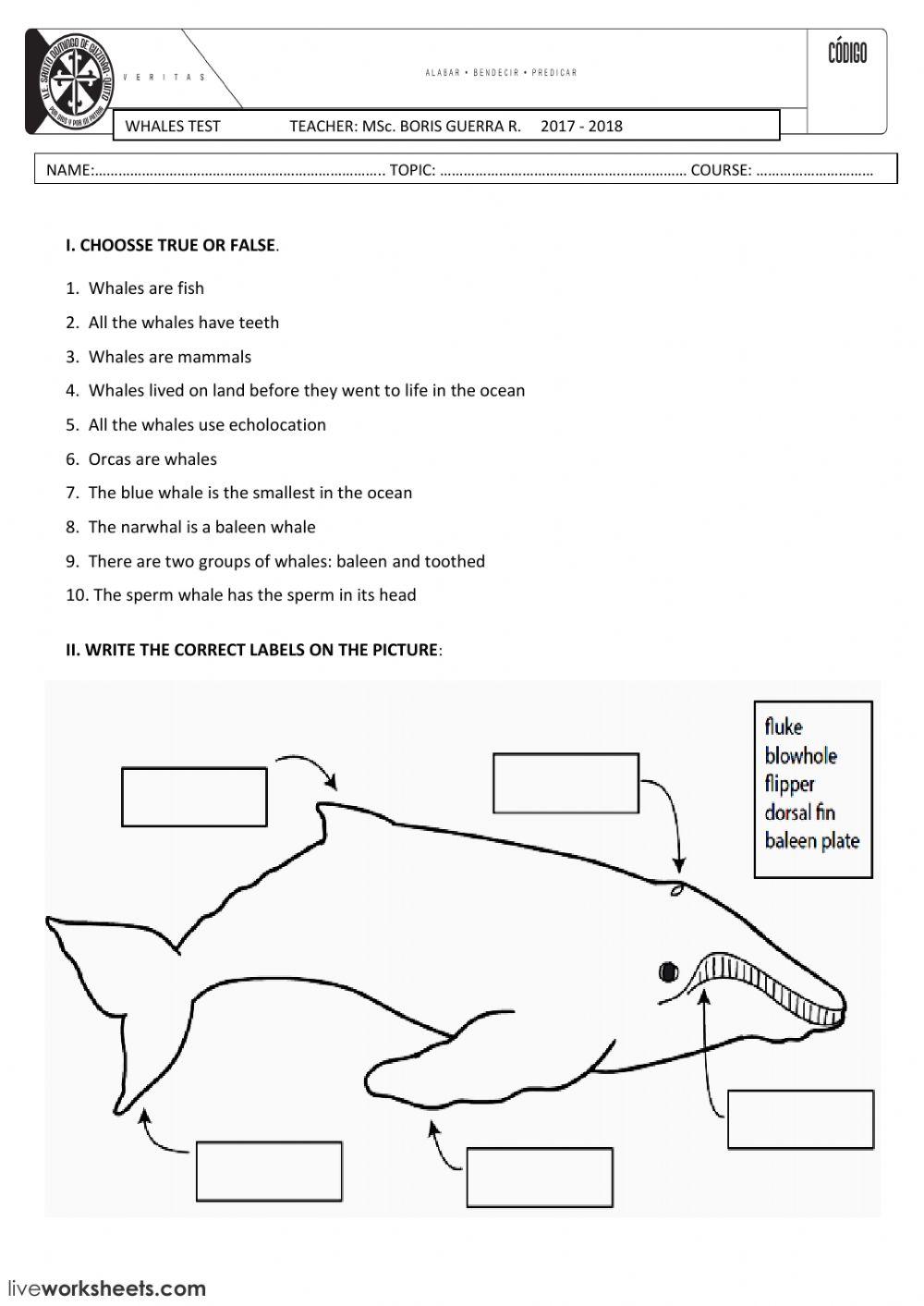 WHALES TEST