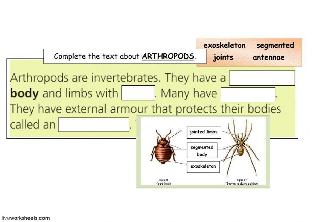 arthropods