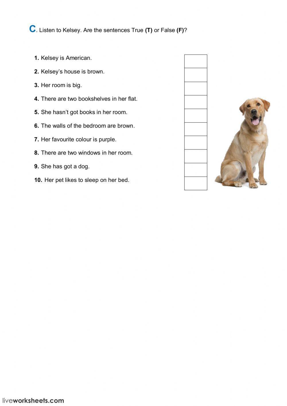 The house and furniture