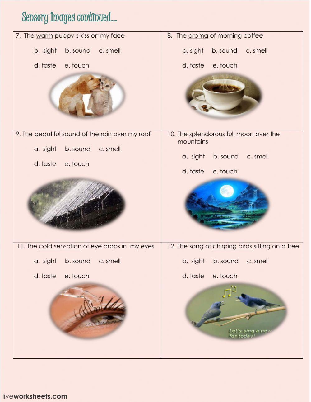 Sensory Image Practice