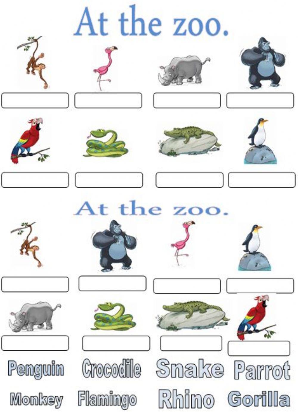 At the zoo. Write-drag and drop