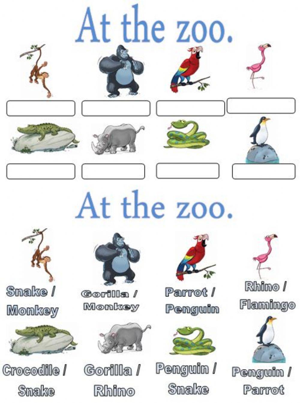 At the zoo. Choose-multiple choise.