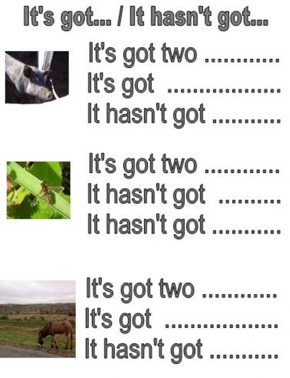 It's got...It hasn't got...