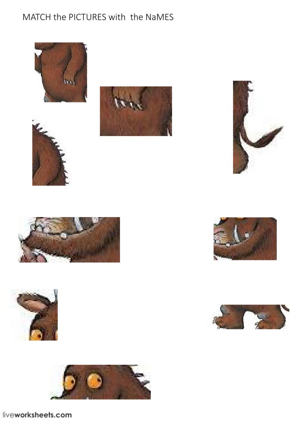 THE GRUFFALO - Parts of the BODY