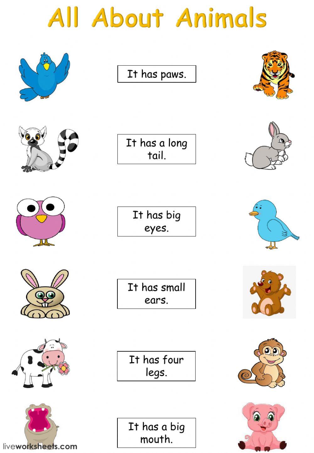 Our World Unit 3 All About Animals