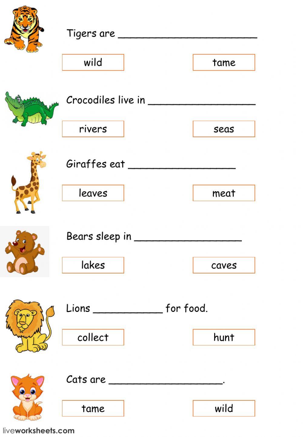 Our World Unit 3 All About Animals