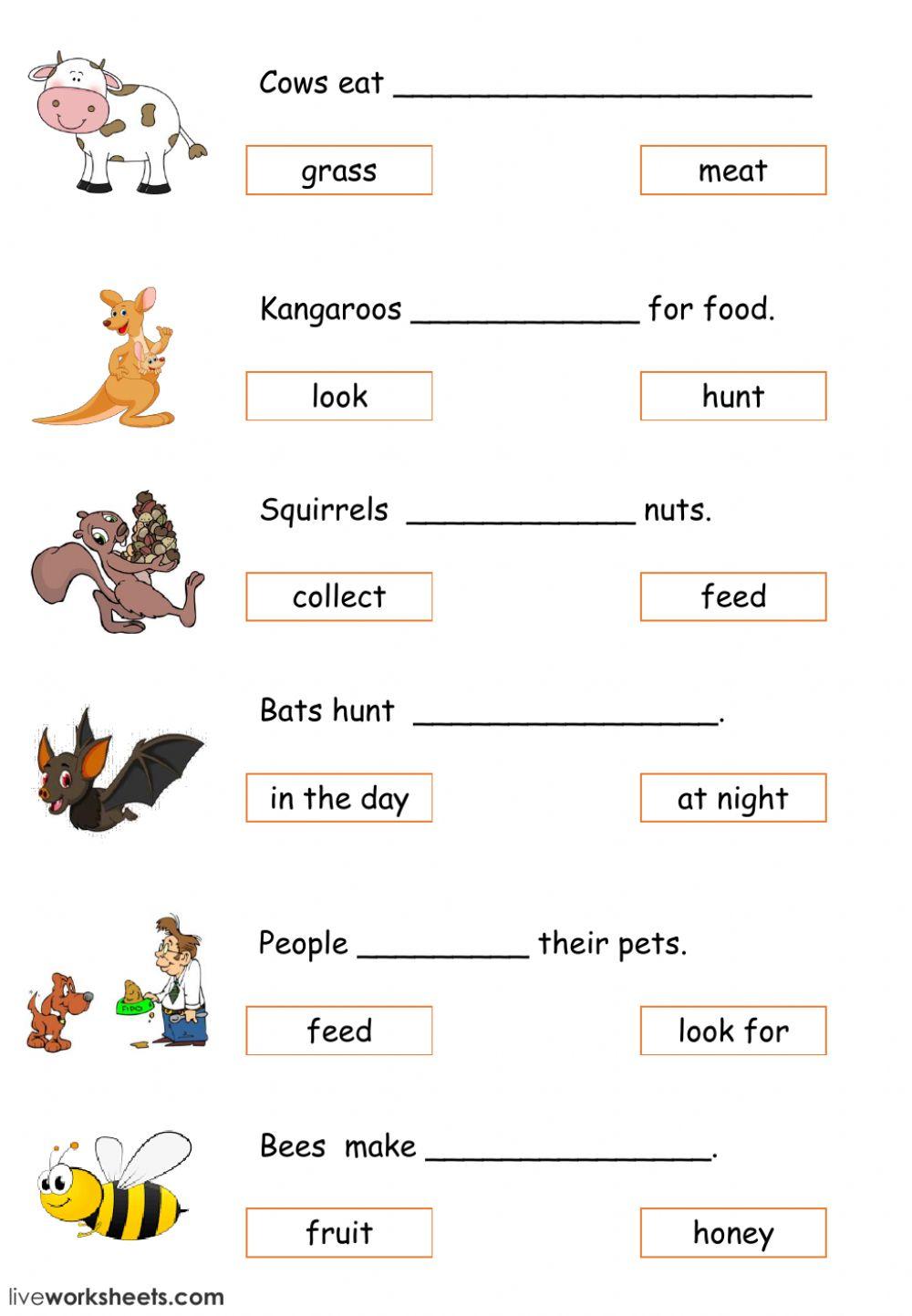 Our World Unit 3 All About Animals